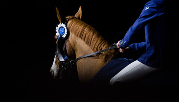 Postcard from the CSI2* Cavaliada in Lublin