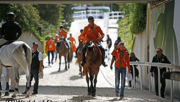 Images | Warming up for the Alltech FEI World Equestrian Games
