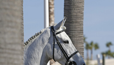 A postcard from the Mediterranean Equestrian Tour, part one