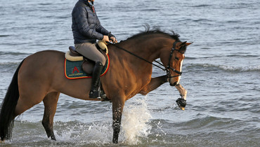 A day at the beach at the Mediterranean Equestrian Tour