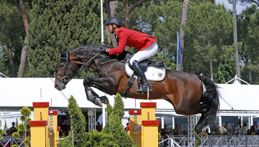 Van Gogh retires from the sport
