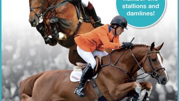 ET Auction: World number one stallions and dam lines!