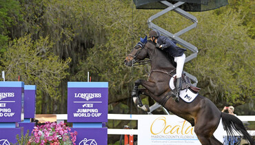 Live Oak International 2021 cancelled
