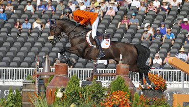 Chianti’s Champion sold