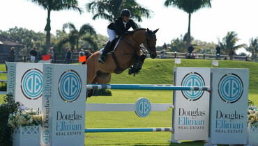 Luiz Francisco de Azevedo and Collin are comeback kids in Douglas Elliman Real Estate