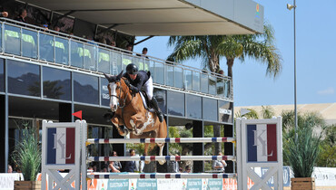 It’s a double for Dennis van den Brink in the Spring MET III Young Horse Finals presented by Kingsland