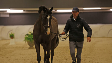 All horses through the second vet inspection at the Longines FEI World Cup Final