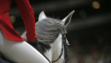 The 2020-edition of Fieracavalli Verona cancelled