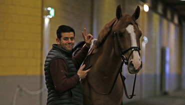 Sean Lynch: Last day was saved by the most amazing pony known to mankind!