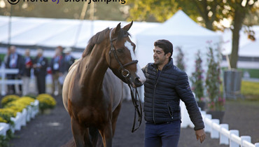 Images | The trot-up - part one