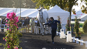 Images | The trot-up - part two