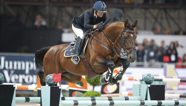 Stallion profile: Filou de Muze