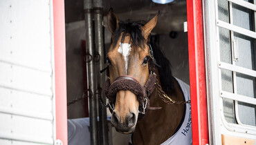 Equine stars of Longines Masters of New York arrive at NYCB LIVE