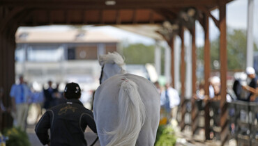Looking toward the future of equestrian sports at the 2019 High Performance Sports Medicine Symposium