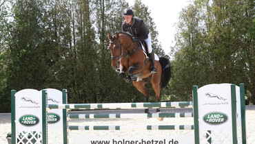 Holger Hetzel hosts a special kind of internet auction: 13 horses are now online