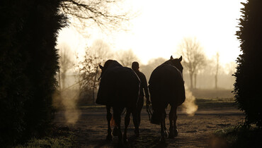 Horses continue to leave Valencia