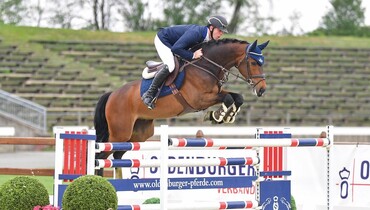 Jumper stars all around the globe