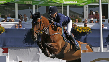 From youngster to Grand Prix horse: H&M Indiana