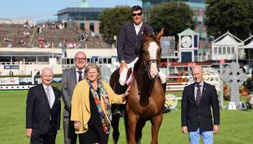 Irish riders dominate on day one of 2019 Dublin Horse Show
