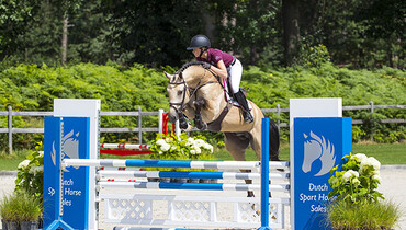 High hopes for 16th Dutch Sport Horse Sales collection