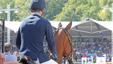 The FEI Veterinary Epidemiology Working Group: Return To Competition measures well received