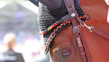 2021 FEI European Championships in jumping cancelled