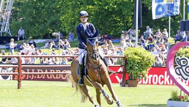 Double H Farm’s HH Venice Beach to Artemis Equestrian Farm