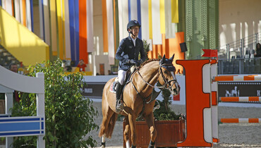 Bertram Allen's Romanov retired from the sport