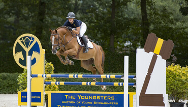 The Youngsters  - Auction of Young Showjumpers presents:  2019 Collection of ridden sporthorses & loose jumpers