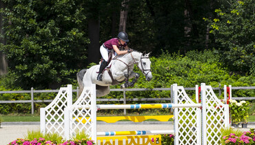 Dutch Sport Horse Sales offers future Grand Prix show jumpers