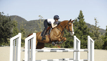 Hannah Selleck's boutique breeding operation is bearing fruit