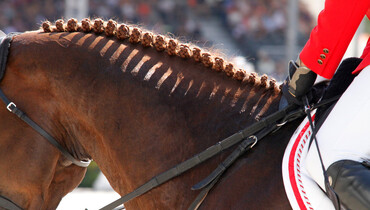 This weekend's CSI2* and CSI3* Grand Prix winners