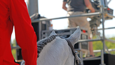 2020 FEI European Championships for children, juniors and young riders cancelled