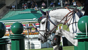 This weekend's CSI2* Grand Prix winners