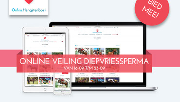 OnlineHengstenboer: Especially for breeders – simple and accessible covering with the most exclusive stallions