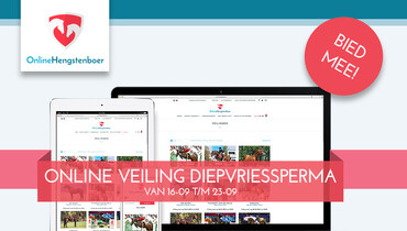 OnlineHengstenboer: Especially for breeders – simple and accessible covering with the most exclusive stallions