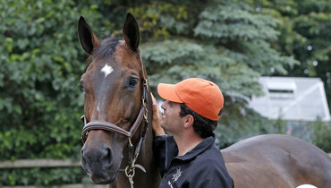 Daniel Bluman's Sancha LS retires from the sport