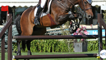 This weekend's CSI3* and CSI2* Grand Prix winners