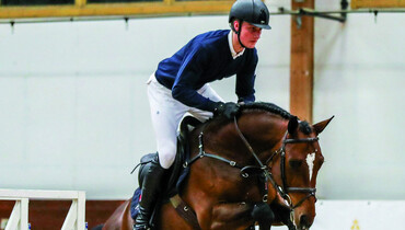 Elite Auction at SWB Equestrian Weeks coming up - collection is online!