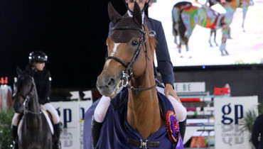 Wilm Vermeir makes it a home win at Waregem Horse Week