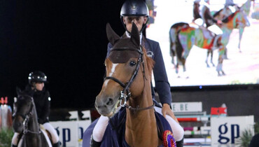 Wilm Vermeir makes it a home win at Waregem Horse Week