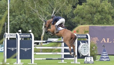 The Billy Stud auction site is now live!