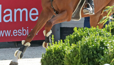 This weekend's CSI3* and CSI2* Grand Prix winners