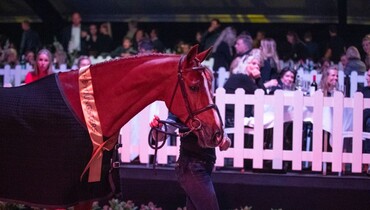 The Youngsters: top-seller Unicorn goes to Olympic gold medalist McLain Ward