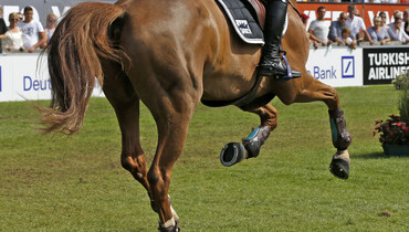 This weekend's CSI3* Grand Prix winners