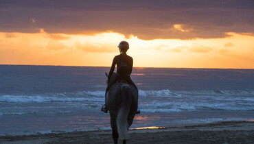 Postcard from the Mediterranean Equestrian Tour
