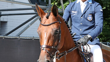 Big Grand Prix classes in 2018: The year of the mare