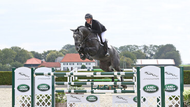 Collection 15th Holger Hetzel Sport Horse Sales now online