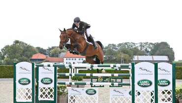 Holger Hetzel Sport Horse Sales presents: Awesome