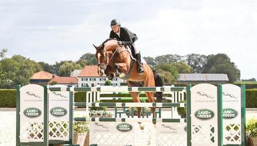 Holger Hetzel Sport Horse Sales presents: Diamond Heart
